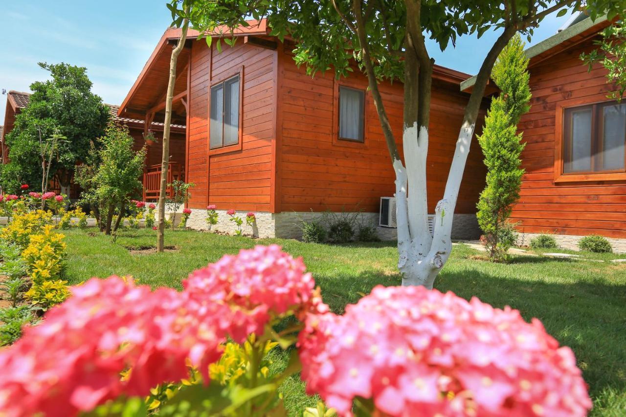 Merry Bungalow & Tent Çıralı エクステリア 写真