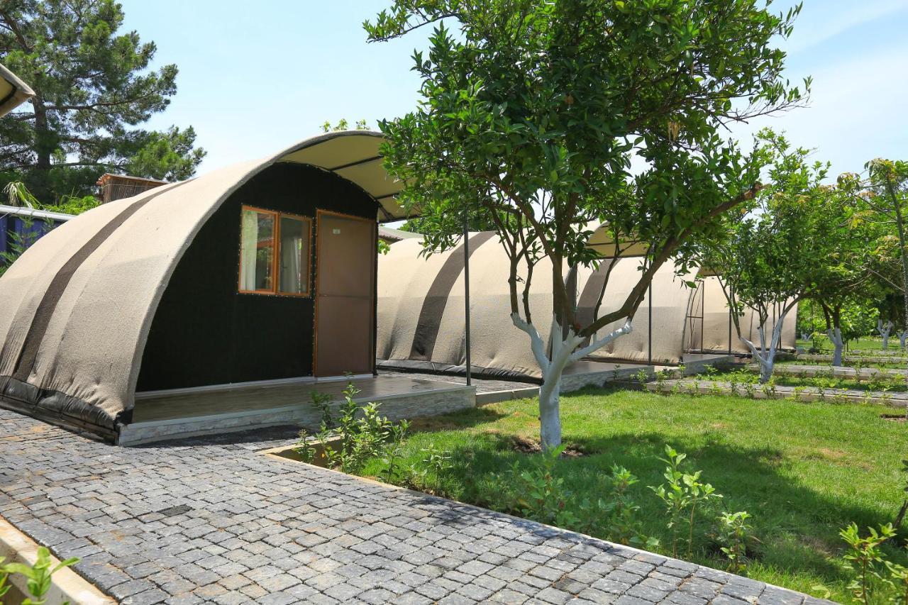 Merry Bungalow & Tent Çıralı エクステリア 写真