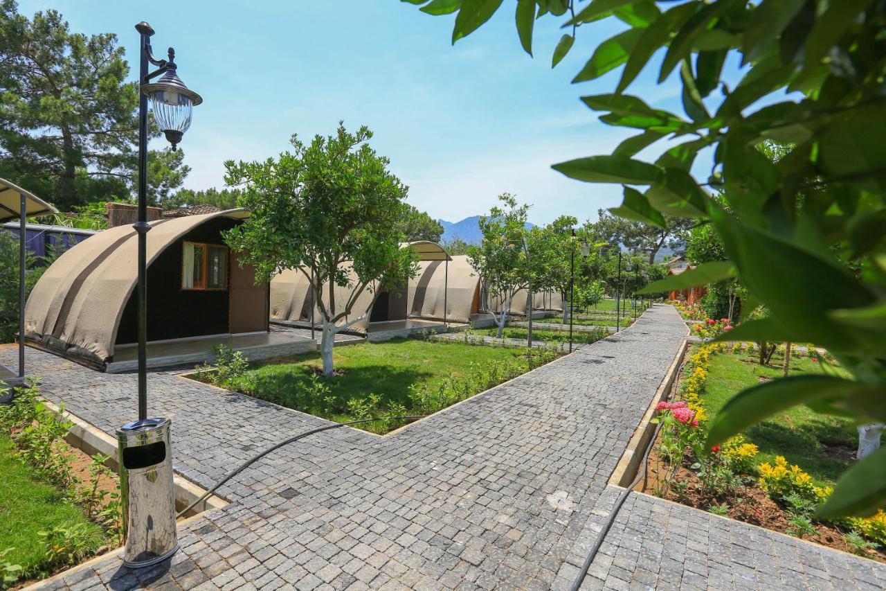 Merry Bungalow & Tent Çıralı エクステリア 写真
