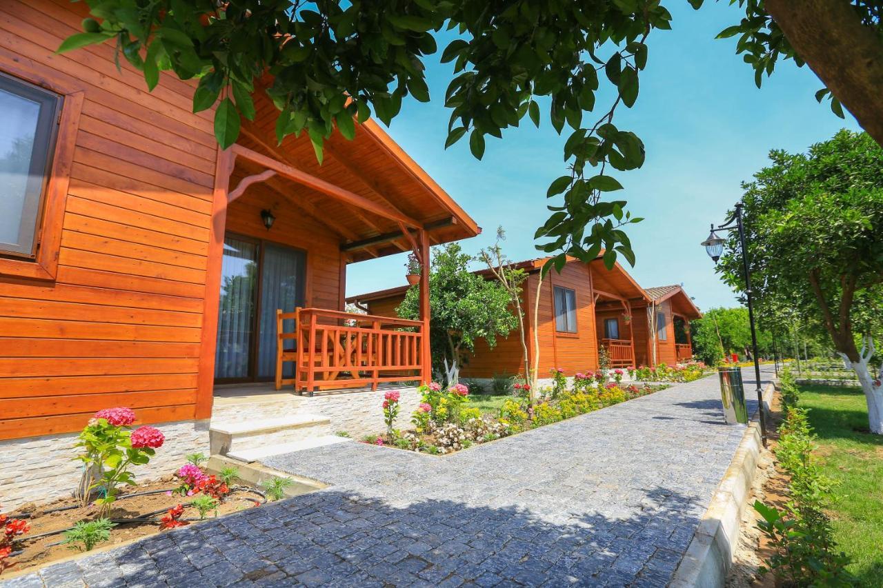 Merry Bungalow & Tent Çıralı エクステリア 写真